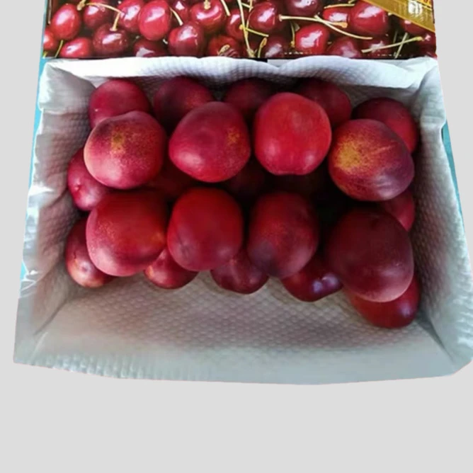 product-668-668